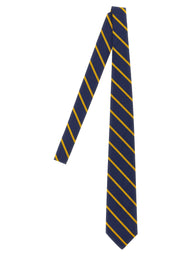 Blue Silk Tie