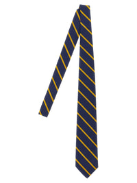 Blue Silk Tie